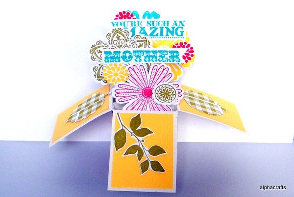 Pop-up box card that uses the Mixed Bunch and Blossom Punch for Mother's Day.