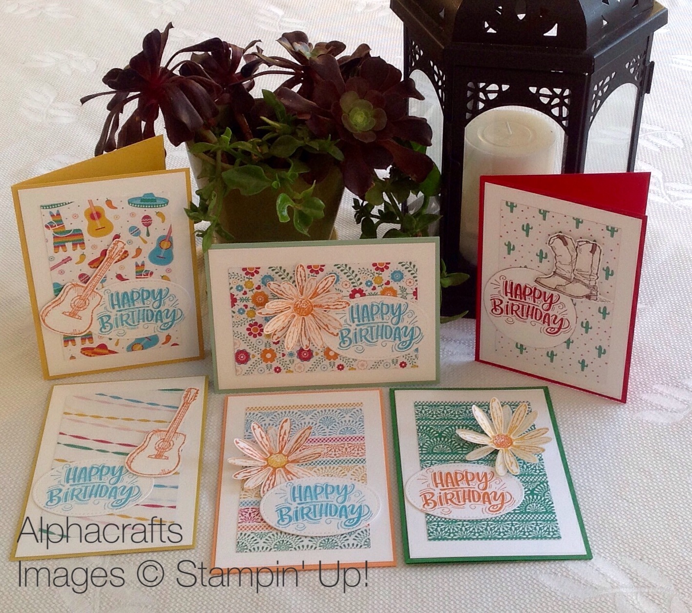 Card Inspiration - Retired Designer Series Paper paired with new stamp sets.
