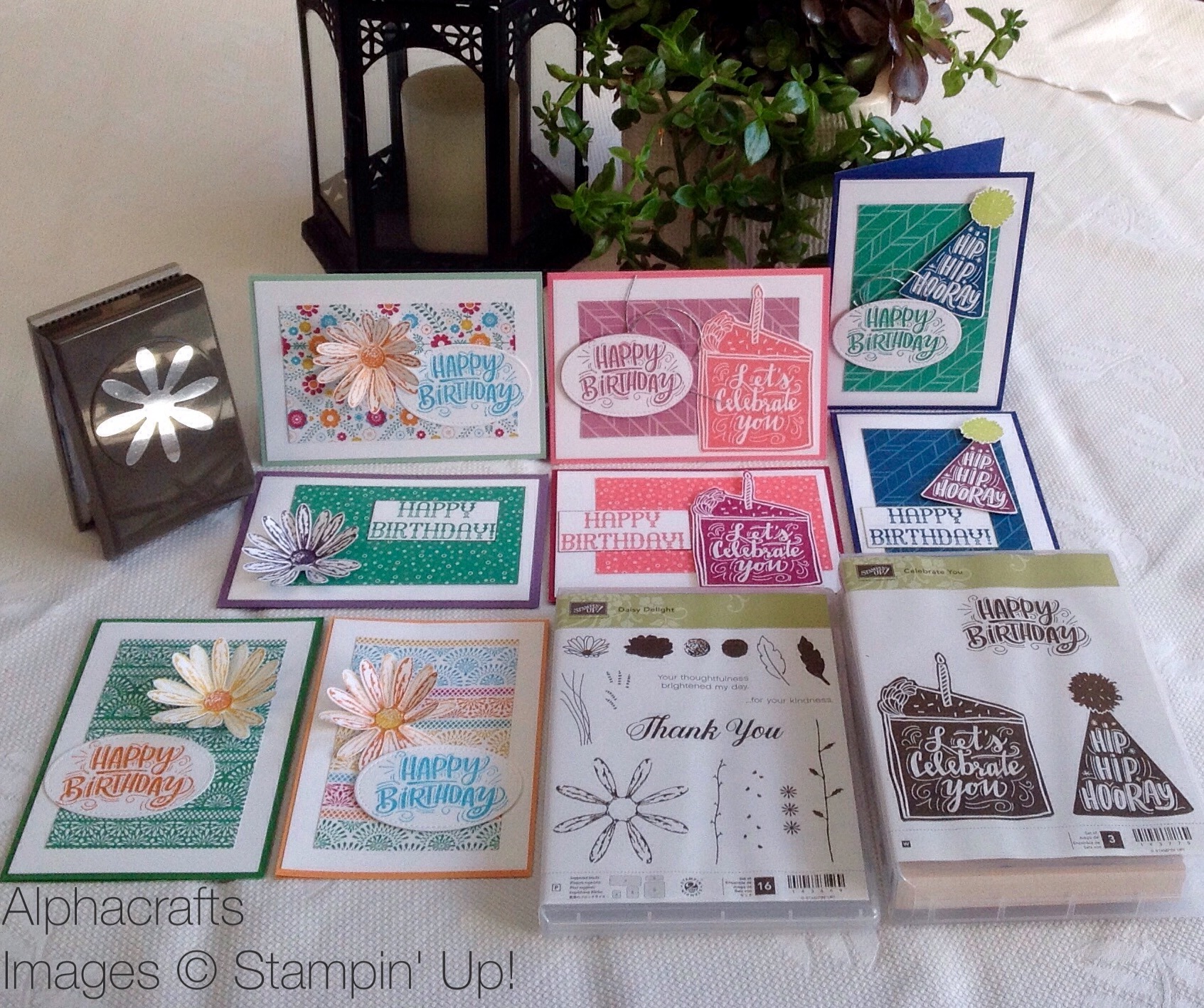 Handmade cards using the Celebrate You stamp set and Daisy Delight Bundle from Stampin' Up!.