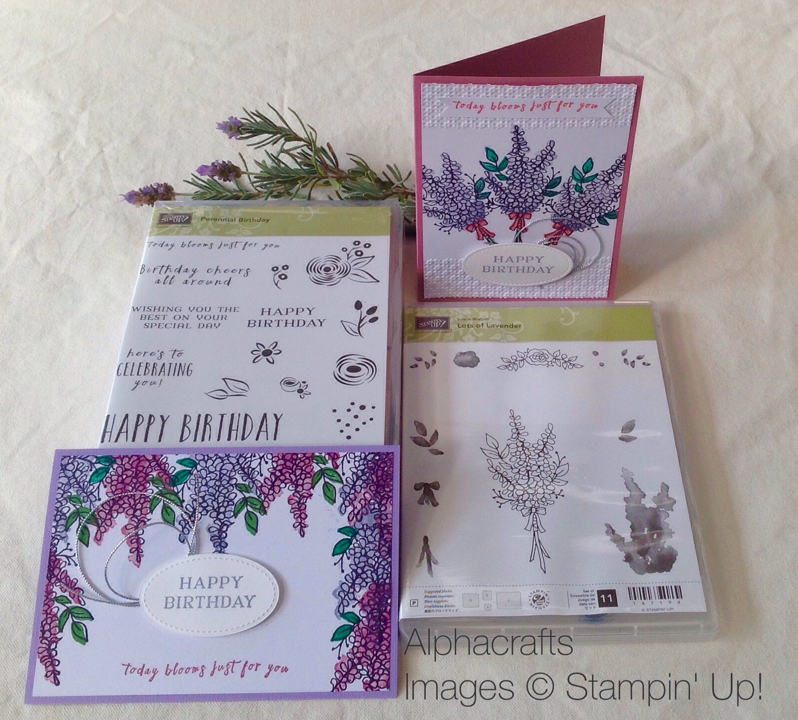 Lots of Lavender card designs and stamp set from Stampin' Up!.
