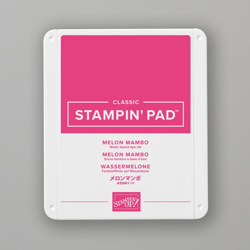 147051-melon-mambo-classic-stampin-pad