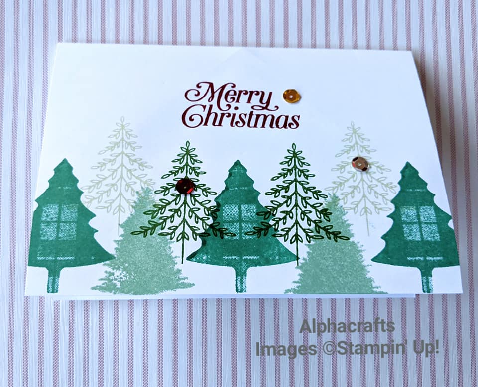 Perfectly Plaid Stamp set for a pop-up-card.