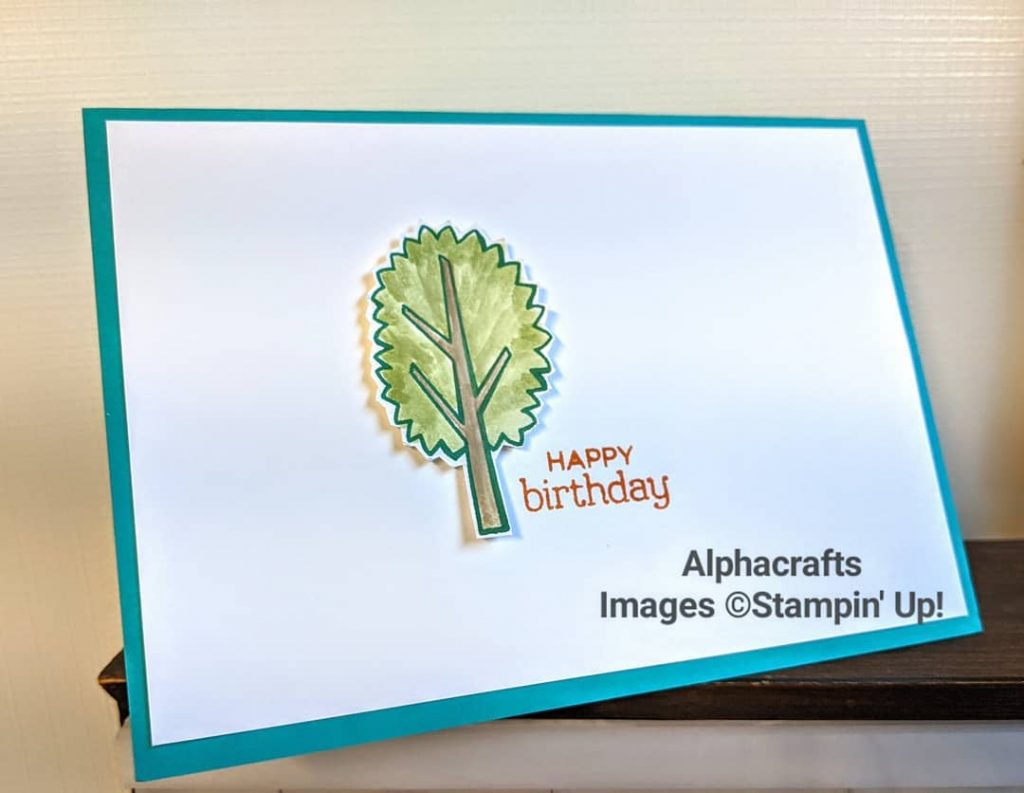 Inside of Zoo Globe birthday card that shows a tree with the words happy birthday.