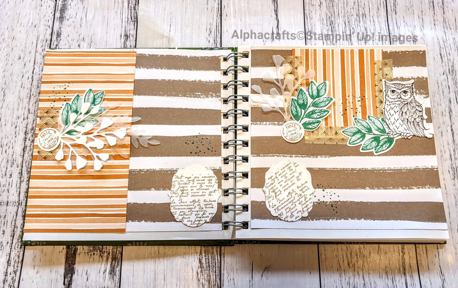 Forever Fern Journal Spread Journal spread using Forever Fern Bundle from Stampin' Up! and handstamped stickers from Alphacrafts. It's a 2 page spread that has cut-out leaves, owl and Designer Series Paper (DSP) background.