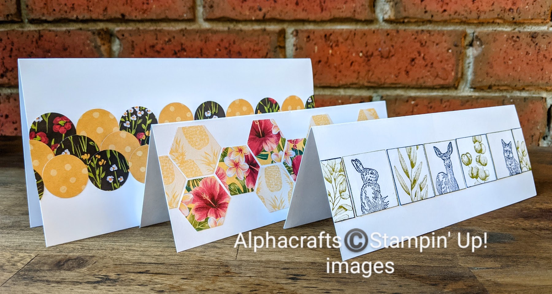 Slimline Cards Inspiration Punched shapes and stamped images to make slimline cards.