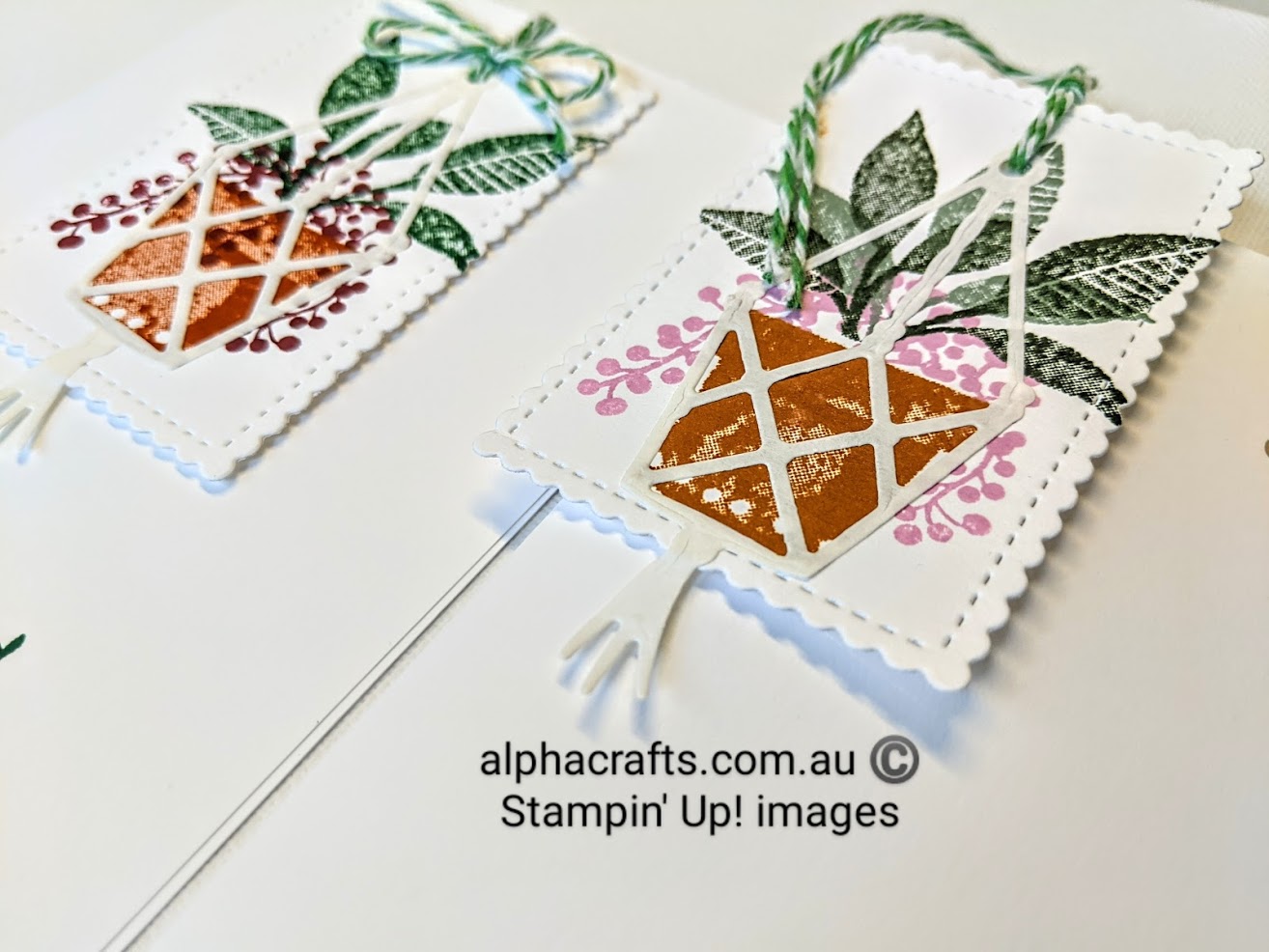 Plentiful Plants Card Inspiration Close up image of Plentiful Plants stamps used in a card. Card has a detachable bookmarker stamped with potted plants.